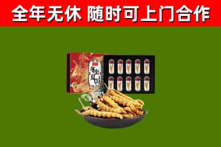 洛浦回收冬虫夏草价格